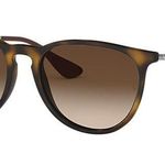 Ray-Ban Erikia Sunglasses Photo 0