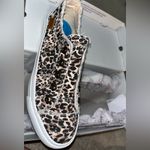 blowfish  Natural Pongo Cat Canvas Fray Distress Cheetah Tennis Shoes NEW Sz 8.5 Photo 7