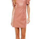 TCEC NWOT | Puff Sleeve Mini Dress ā Mauve ā S ā CD01748 Photo 1