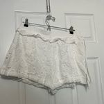 IRO Mikos Broderie Anglaise Cotton Shorts Photo 6