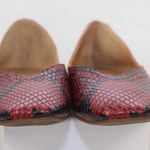 Lucky Brand  Flats Photo 0