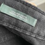 Wild Fable  Low Rise Denim Jean Shorts Photo 4