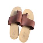 Everlane The Leather Thong Women Sandals Burnt Sienna Flip Flops Size 7 Photo 3