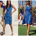 CAbi  #5576 Untamed Electric Blue Floral Dress‎ Asymmetrical Sleeveless Size Med Photo 1