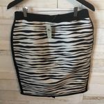 Ann Taylor NWT skirt size 8 Photo 0
