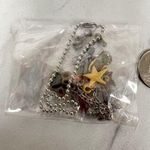 Dog Puppy Bone Star Paw Print Bag Charm Ball Chain Keychain Keyring Photo 0