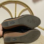 Dr Schooll’s Photo 5