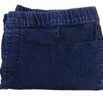 Laura Scott Pull-On Elastic Waistband Stretch Skinny Jeans Size 2X Photo 2