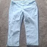 Michael Kors  Light Blue Jeans SIZE 12 Photo 0