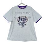 Anvil Eureka Springs Graphic T Shirt Womens Large Gray Purple Waterfall 1991 Photo 0