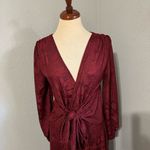 ZARA  Bloggers Fav Burgundy V-Neck Long Jacquard Wrap Maxi Christmas Dress Sz M Photo 5