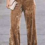 Serra  Velvet Brown tan crushed Wide Leg Pants Size medium! Photo 0