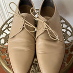 Everlane The Modern Oxford in Beige Photo 0