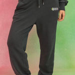 Aerie  x Wicked Big Chill Jogger Smoked Grey XL Photo 0