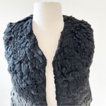 Aritzia Talula Park Slope Faux Fur Vest in Black | XXS Photo 3