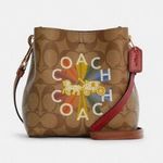  Mini Town Bucket Bag In Signature Canvas With Coach Radial Rainbow c6835 Photo 5