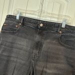 American Eagle  Highest Rise Boyfriend Black Denim‎ Shorts Size 18 Photo 2