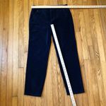 Sundance  NWOT Navy Blue Velvet Trouser Pants Size 10 Photo 2