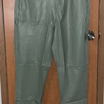 American Eagle  faux leather jeans size 12nwt Photo 0