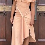 Acler Redwood Dress Size 2 Photo 0