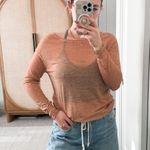 L'Agence  Brown Sheer Long Sleeve Sweater Tophe Photo 0