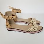 LOGO By Lori Goldstein LOGO LORI GOLDSTEIN GRACE CHEETAH CALF HAIR SANDAL Photo 1