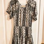 Chelsea and Violet FINAL PRICE  Snake Print Knit Ruffled Dress Photo 1