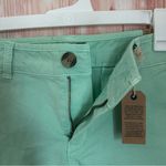 American Eagle Mint Green Midi Stretch Chino Shorts Photo 6