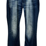 BKE Buckle Payton Jeans Women 28R Bootcut Western Y2K Boho Distressed Cotton Photo 0