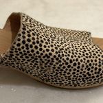 Madewell The Evelyn Slide Wood Clog Slides in Spotted Calf Hair New Size 6.5 Photo 8