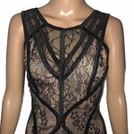 The Vintage Shop Illusion Lace Dress Photo 4