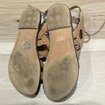 Sam Edelman  Gemma Gladiator Sandals Women’s 6.5 Photo 2