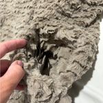 Cynthia Steffe ruffled faux fur beige tan winter coat size medium EUC Photo 6