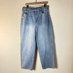 American Eagle Baggy Jean Size 16 Photo 1