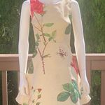 L'ATISTE L’atiste by Amy, Ivory Rose Print Sleeveless Skater Dress. Size XS. Photo 1