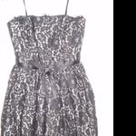 Neiman Marcus New Womens Blck/Tan Lacey Dress Size 6 Photo 11