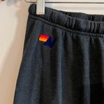 Aviator Nation Neon 5 Stripe Sweatpants Photo 3