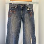Vintage American Eagle Embelished Straight Leg Jeans Stretch Bohemian Blue Size 4 Photo 1