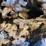 Charlotte Russe black floral lace cover-up Photo 1