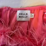 Hello Molly Pink Dress Photo 2