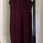 Bardot Lace Illusion Sheath Dress Photo 0