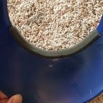 Vintage Corona visor Photo 5