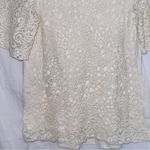Anthropologie Eri & Ali Ivory Short Sleeve Eyelet Lace Casual Blouse Top SM Photo 3