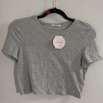 Soprano  Grey Fitted Crop Top Size Large NWT Photo 0