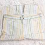 Madewell New  Emmett Wide-Leg Crop Pants in Stripe Plus Size Petite 37P Photo 1