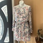 EXPRESS  light pink floral long sleeve dress Photo 1