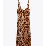 ZARA Womens  Gorgeous Sleeveless Animal Print Bodycon  Corset Style Dress  - Sz M Photo 1