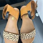Madeline Girl  Leopard Sandals Photo 1