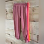 Aviator Nation  5 Stripe Sweatpants Photo 3