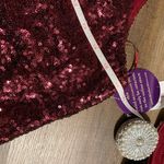 Windsor Sequin 2-piece Dress Photo 8